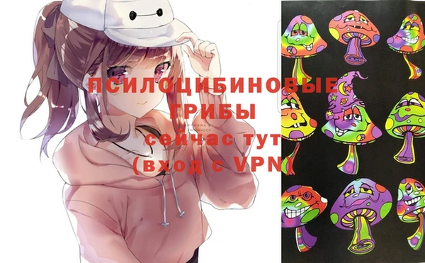 твердый Нефтекумск